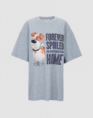 Grey Urban Revivo The Secret Life Of Pets Oversized Women's T-Shirts | IMFAHZ-857