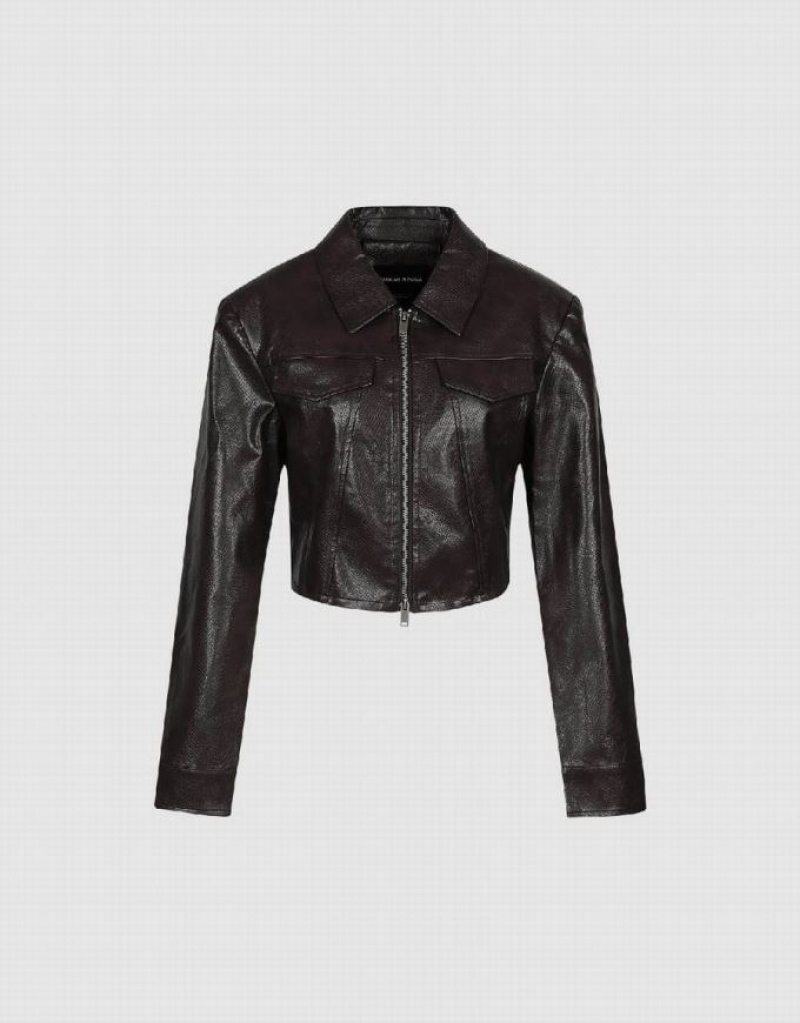 Brown Urban Revivo Cropped Zipper Front Vegan Women's Leather Jackets | OYFPAQ-035